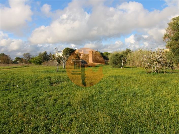 Image No.14-Plot for sale