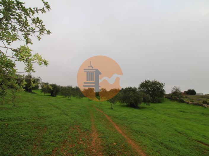 Image No.12-Plot for sale