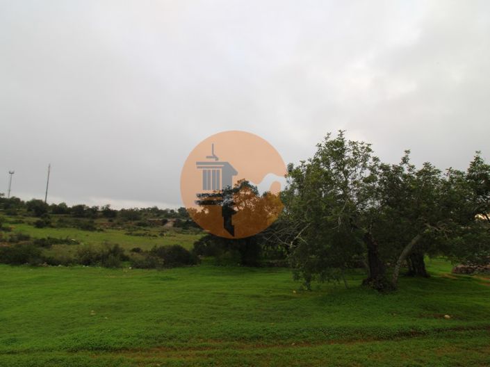 Image No.14-Plot for sale