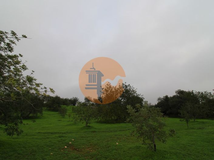 Image No.19-Plot for sale