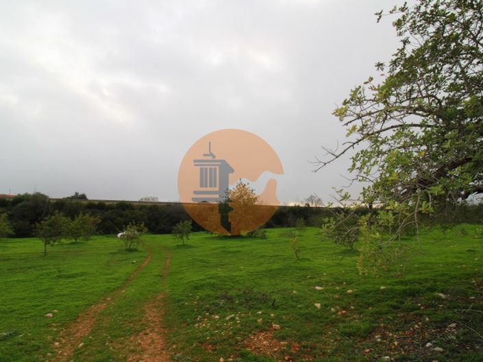 Image No.9-Plot for sale