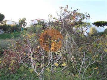 id9d4e6401-0000-0500-0000-000010bc0fc3