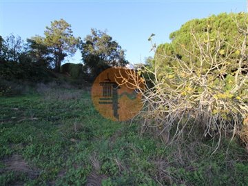 id9d4e6401-0000-0500-0000-000010bc0fc9