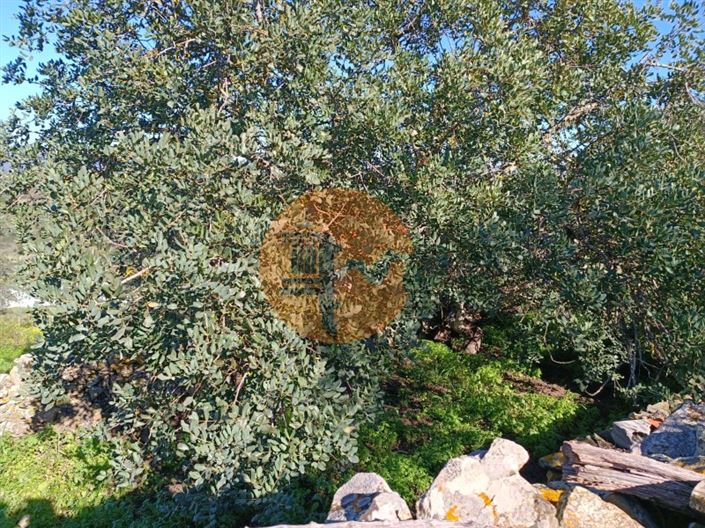 Image No.17-Maison de 1 chambre à vendre à Alcoutim