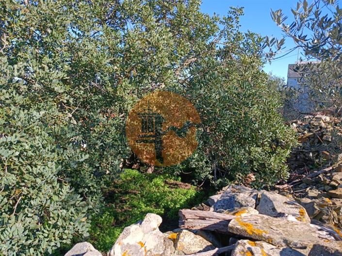 Image No.22-Maison de 1 chambre à vendre à Alcoutim