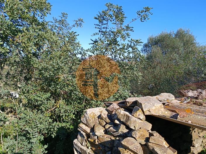 Image No.23-Maison de 1 chambre à vendre à Alcoutim