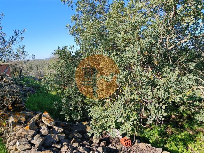 Image No.24-Maison de 1 chambre à vendre à Alcoutim