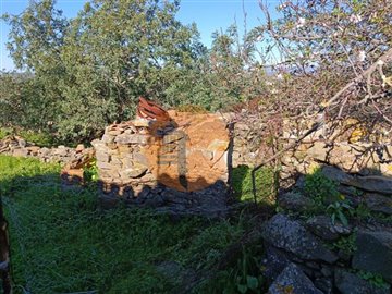 id1b4a6601-0000-0500-0000-000010dd7616