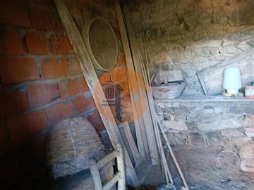 id1b4a6601-0000-0500-0000-000010dd7618