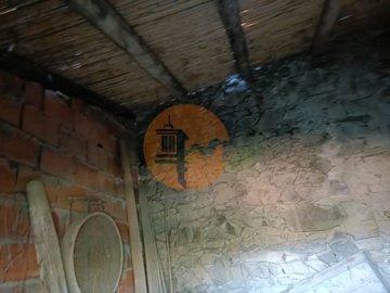 id1b4a6601-0000-0500-0000-000010dd761a