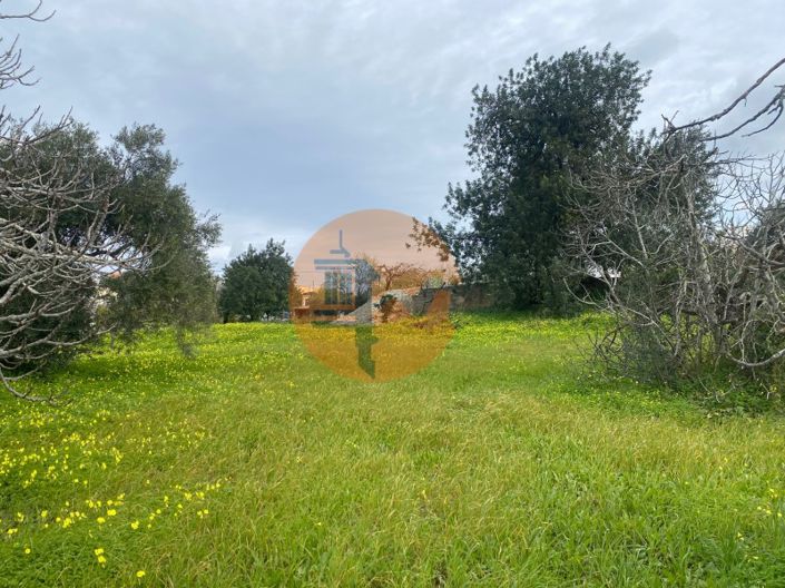 Image No.10-Plot for sale