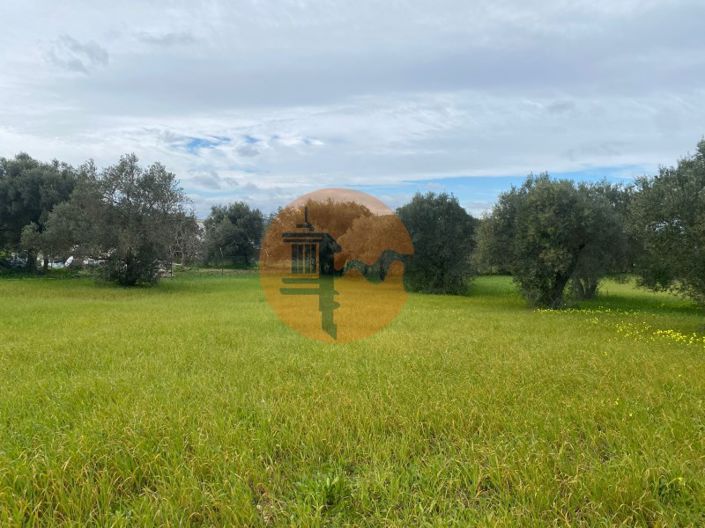 Image No.11-Plot for sale