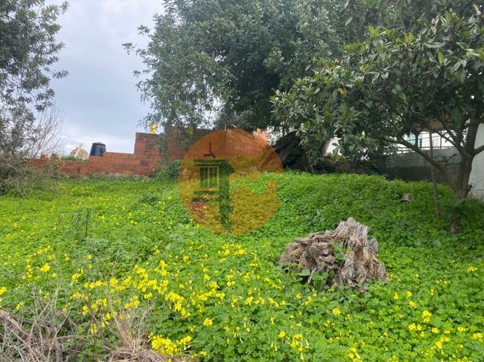 Image No.3-Plot for sale