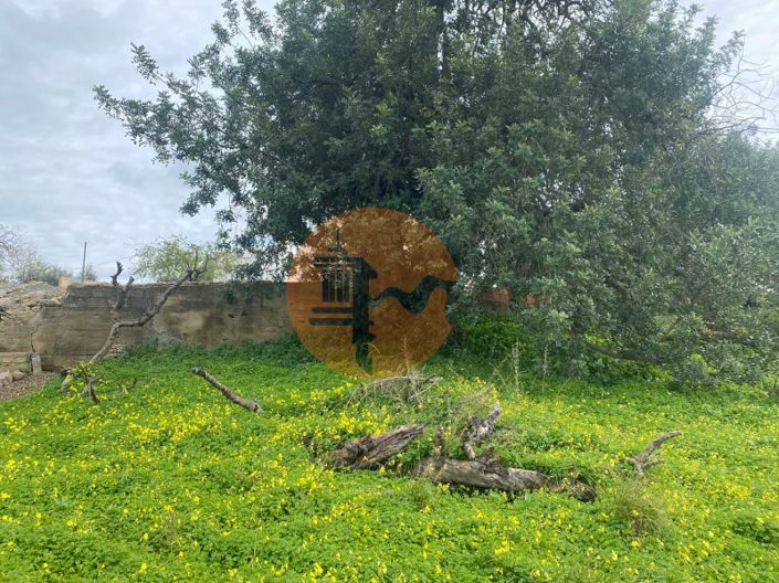 Image No.9-Plot for sale