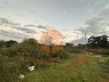 idcea06501-0000-0500-0000-000010dba7be