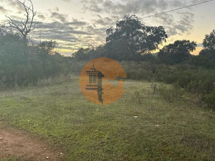 Image No.15-Plot for sale