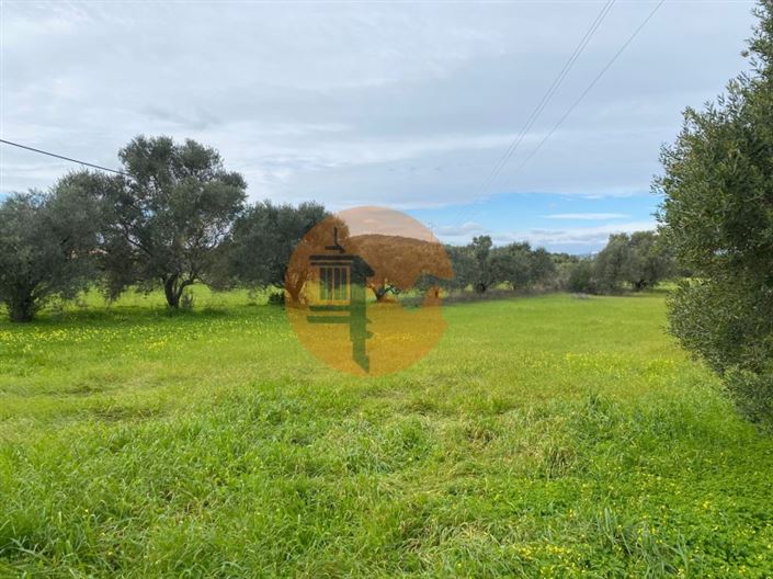 Image No.2-Plot for sale