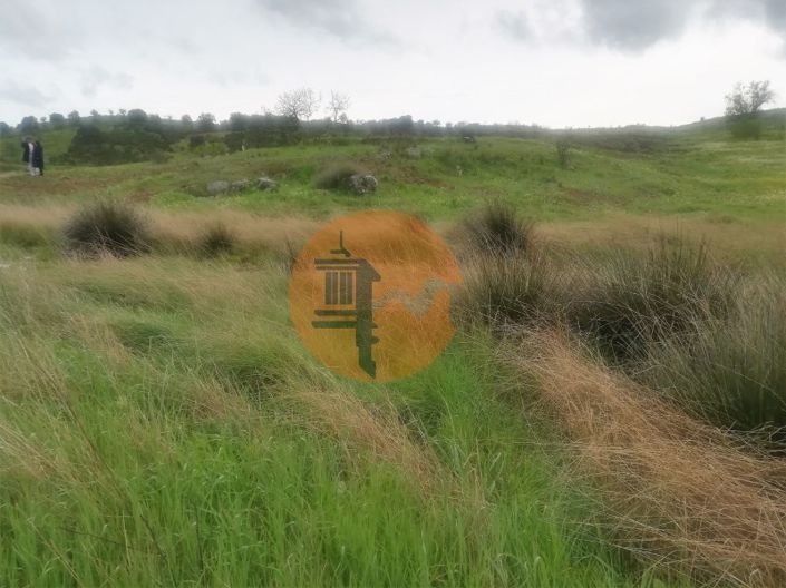 Image No.19-Plot for sale