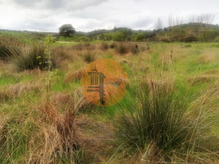 Image No.22-Plot for sale