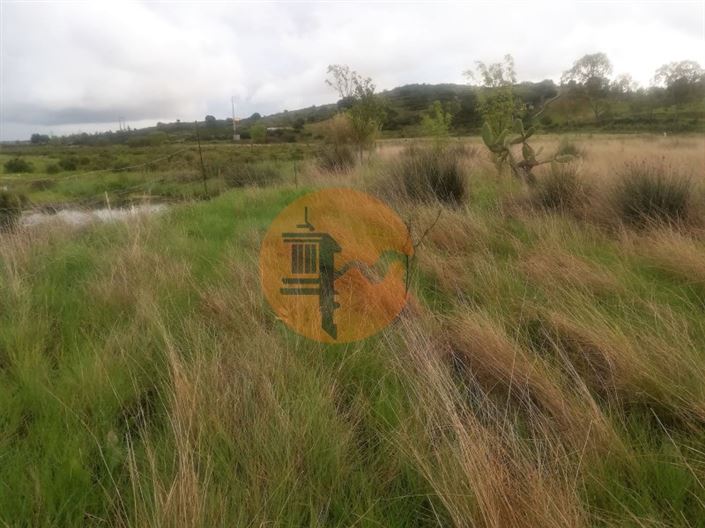 Image No.28-Plot for sale