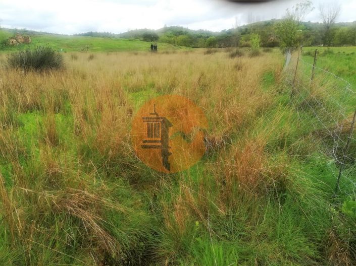 Image No.36-Plot for sale