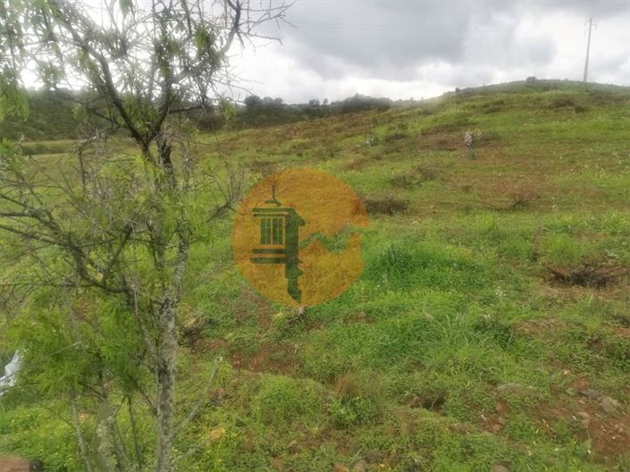 Image No.38-Plot for sale