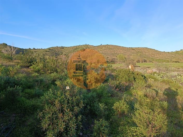 Image No.40-Plot for sale