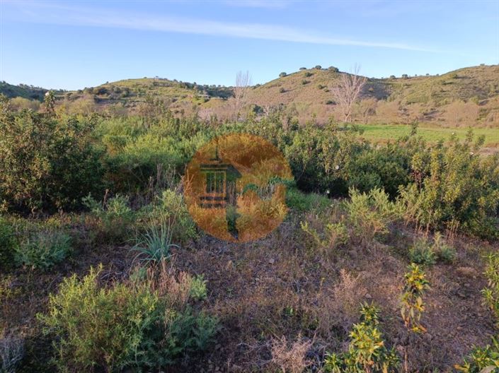 Image No.44-Plot for sale