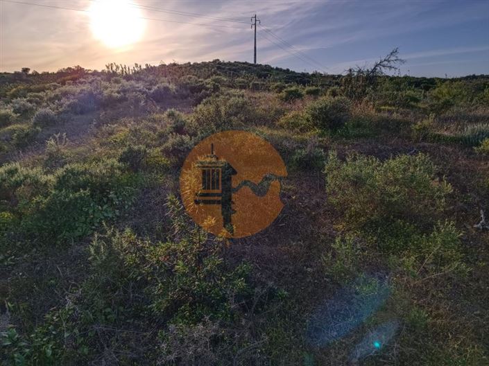 Image No.4-Plot for sale