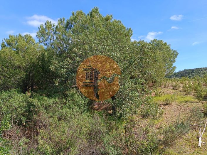 Image No.10-Plot for sale