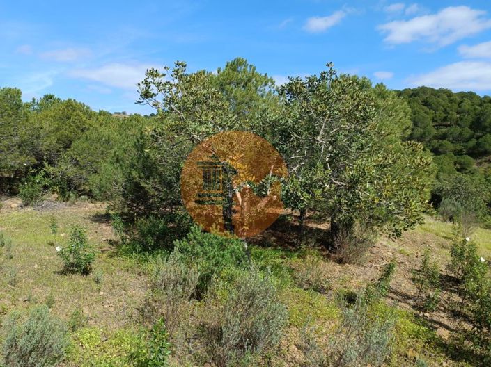 Image No.12-Plot for sale