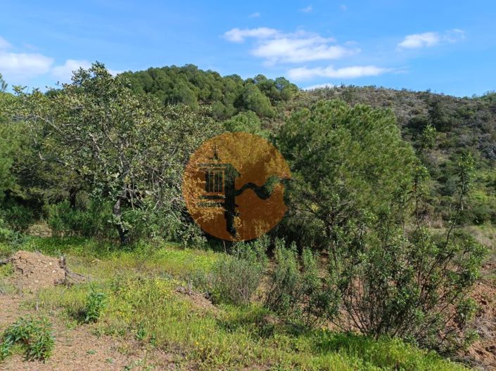 Image No.13-Plot for sale