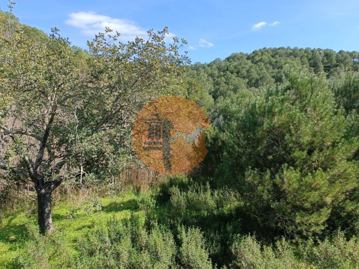 Image No.15-Plot for sale