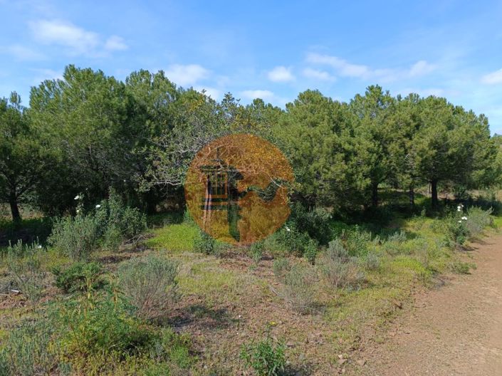 Image No.16-Plot for sale