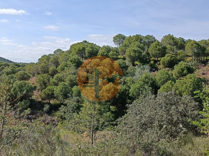 Image No.18-Plot for sale