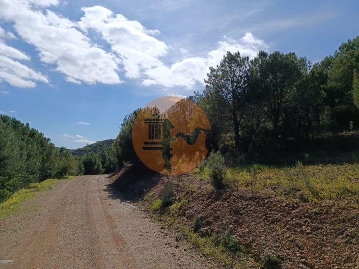 Image No.19-Plot for sale