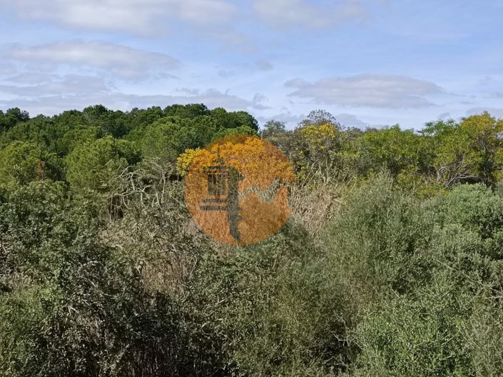 Image No.21-Plot for sale