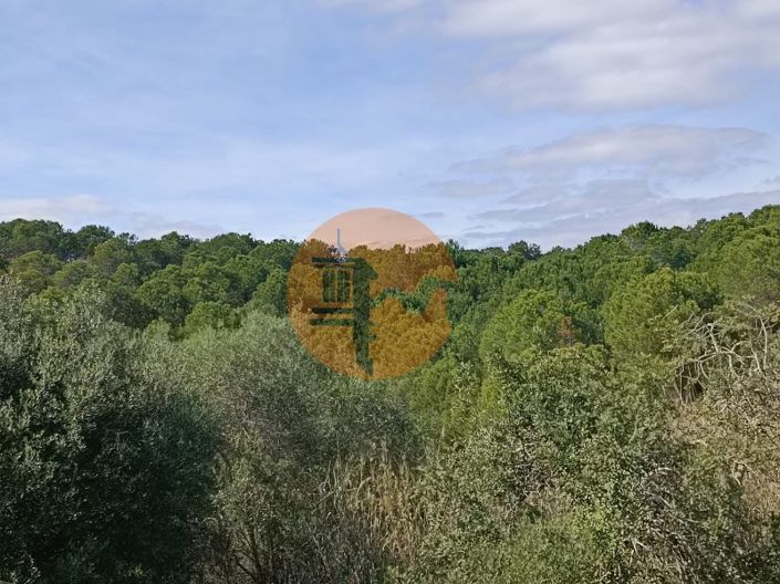 Image No.22-Plot for sale