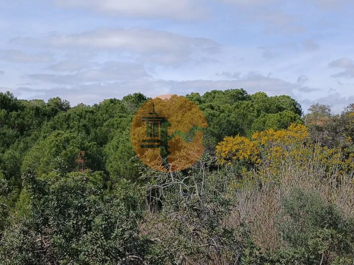 Image No.26-Plot for sale