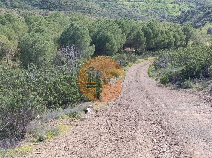 Image No.29-Plot for sale