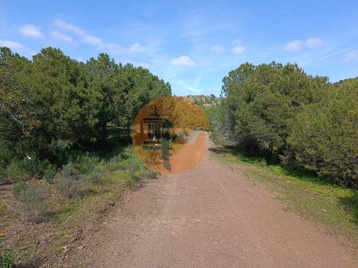 Image No.3-Plot for sale