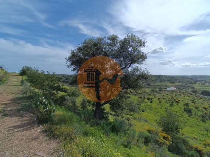 Image No.17-Plot for sale