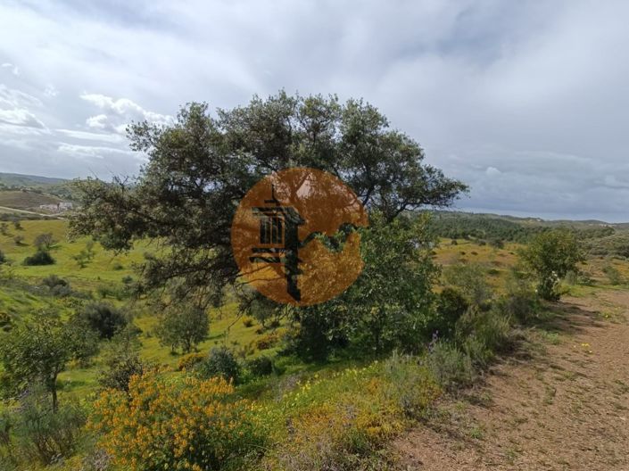 Image No.3-Plot for sale