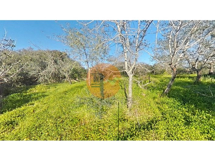 Image No.38-Terrain à vendre à Olhão