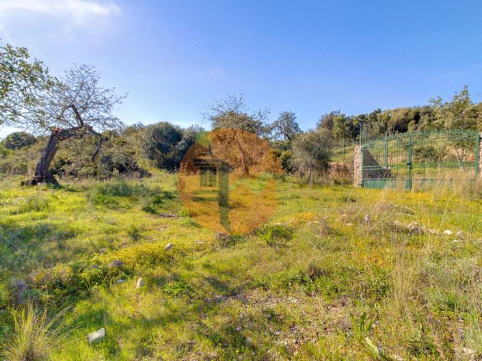 Image No.50-5 Bed Farmhouse for sale