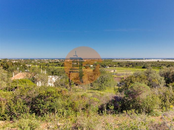 Image No.56-5 Bed Farmhouse for sale