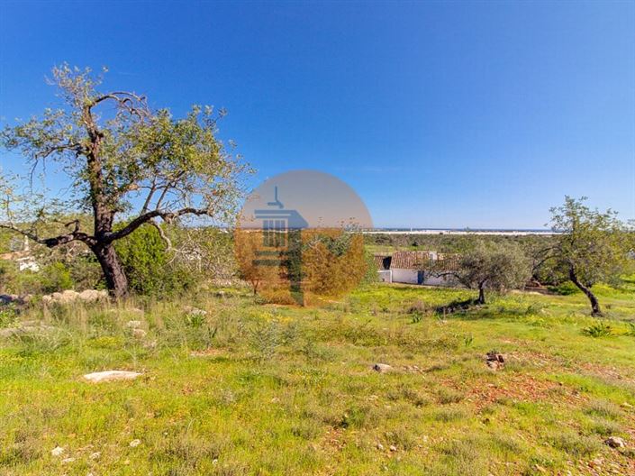 Image No.59-5 Bed Farmhouse for sale