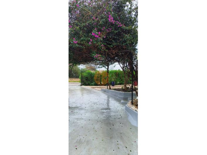 Image No.45-Maison de 4 chambres à vendre à Loule