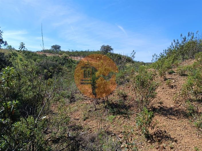 Image No.15-Plot for sale