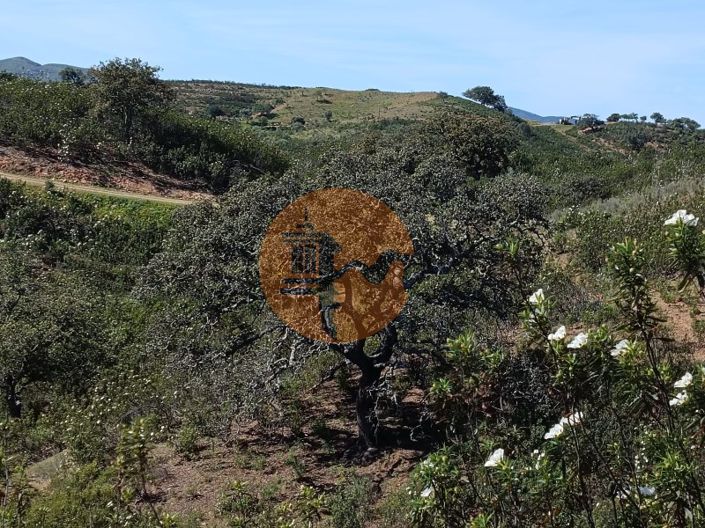 Image No.17-Plot for sale